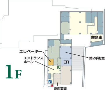 ʌ