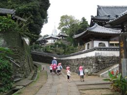 お散歩@